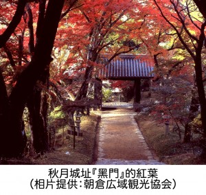 秋月城址『黑門』的紅葉（相片提供：朝倉広域観光協会）